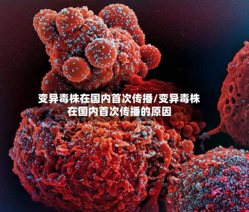 变异毒株在国内首次传播/变异毒株在国内首次传播的原因-第2张图片