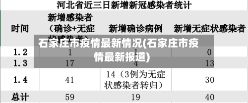 石家庄市疫情最新情况(石家庄市疫情最新报道)-第3张图片