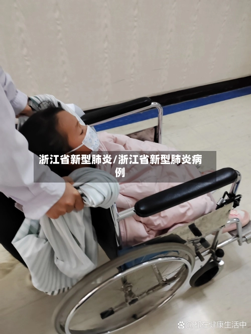 浙江省新型肺炎/浙江省新型肺炎病例