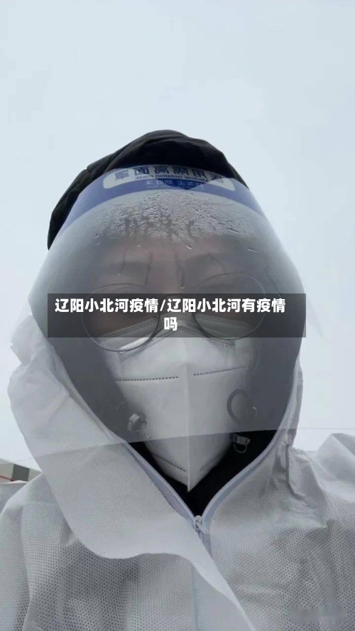辽阳小北河疫情/辽阳小北河有疫情吗-第2张图片