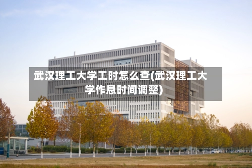 武汉理工大学工时怎么查(武汉理工大学作息时间调整)