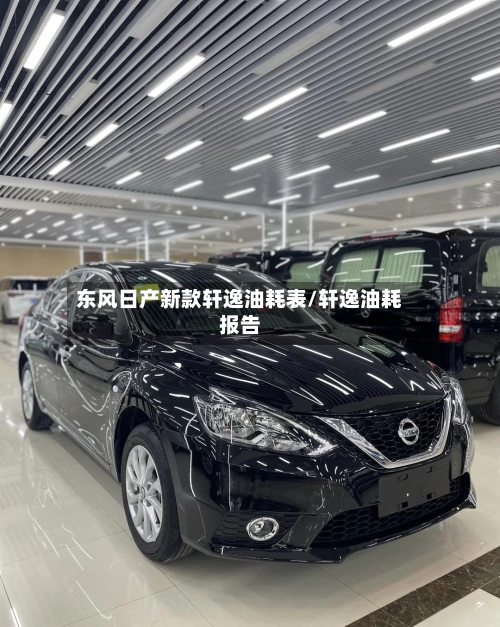 东风日产新款轩逸油耗表/轩逸油耗报告