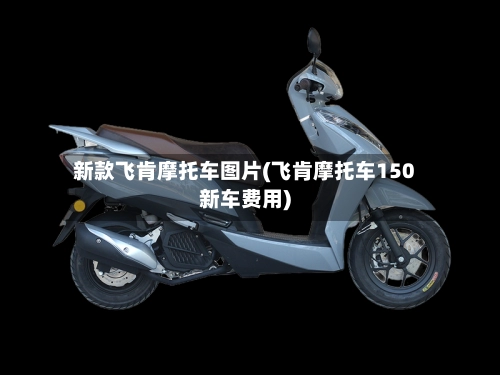 新款飞肯摩托车图片(飞肯摩托车150新车费用)