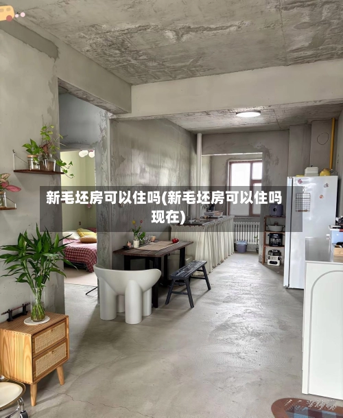 新毛坯房可以住吗(新毛坯房可以住吗现在)