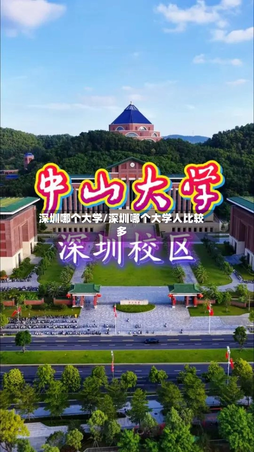 深圳哪个大学/深圳哪个大学人比较多