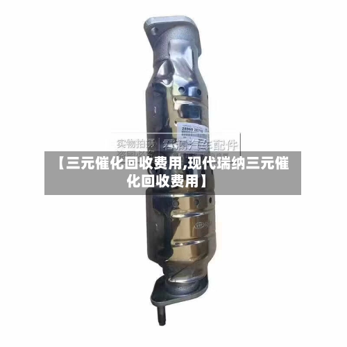 【三元催化回收费用,现代瑞纳三元催化回收费用】-第3张图片