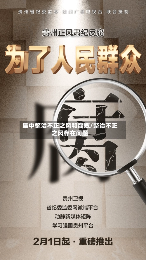 集中整治不正之风和腐败/整治不正之风存在问题