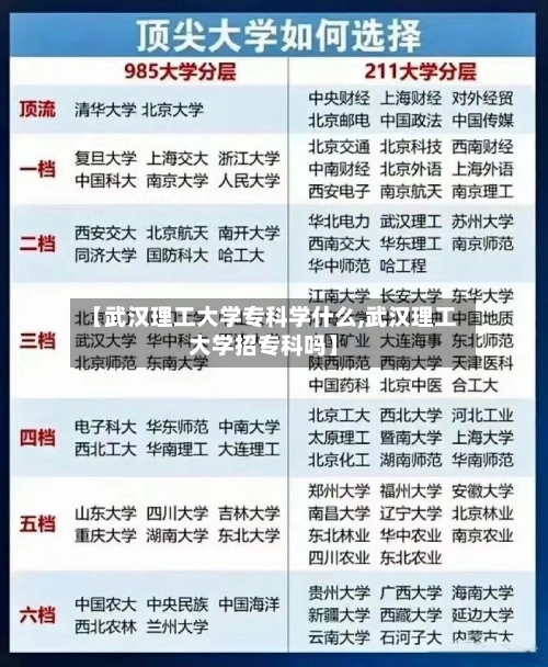 【武汉理工大学专科学什么,武汉理工大学招专科吗】