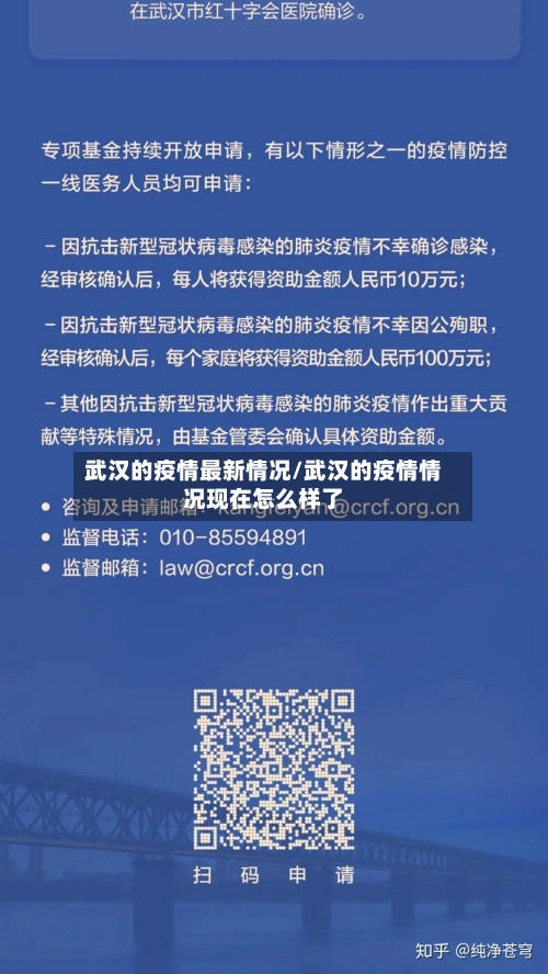 武汉的疫情最新情况/武汉的疫情情况现在怎么样了-第2张图片