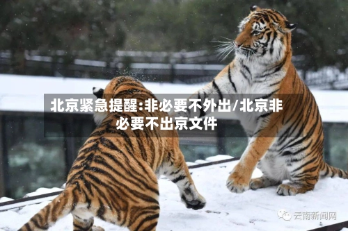 北京紧急提醒:非必要不外出/北京非必要不出京文件
