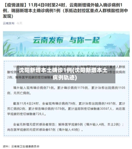 沈阳新增本土确诊1例(沈阳新增本土病例轨迹)
