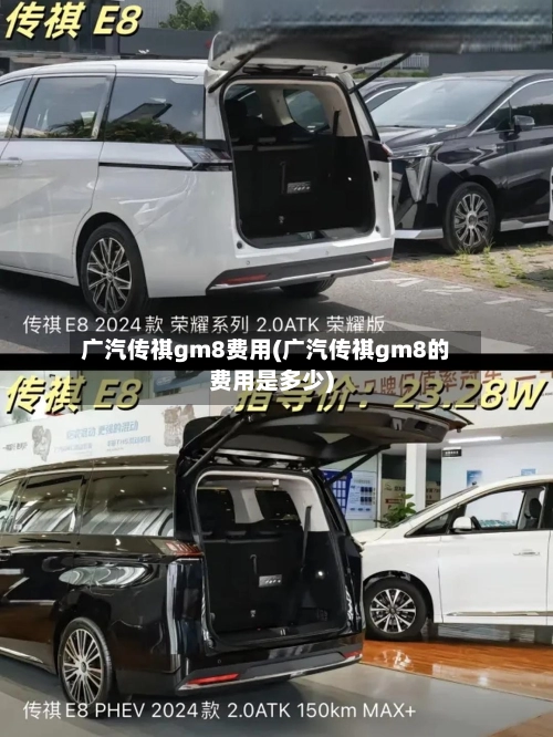 广汽传祺gm8费用(广汽传祺gm8的费用是多少)