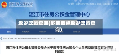 返乡政策查询(多地调整返乡政策查询)-第3张图片