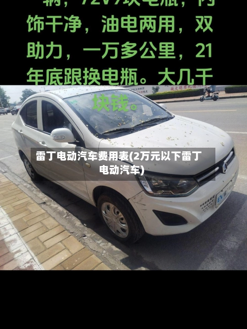 雷丁电动汽车费用表(2万元以下雷丁电动汽车)-第2张图片