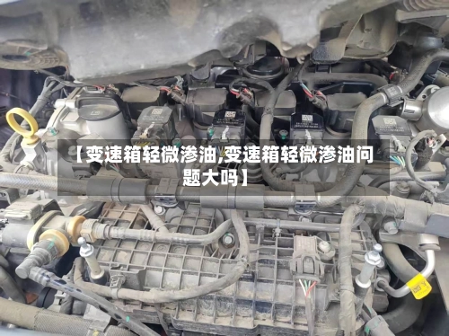 【变速箱轻微渗油,变速箱轻微渗油问题大吗】-第2张图片