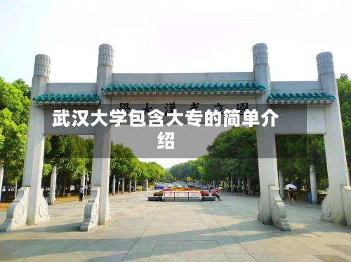 武汉大学包含大专的简单介绍