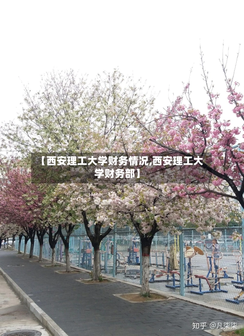 【西安理工大学财务情况,西安理工大学财务部】-第2张图片