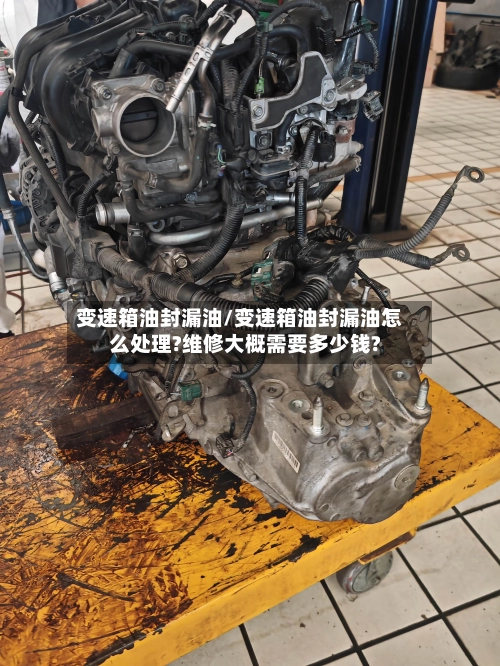 变速箱油封漏油/变速箱油封漏油怎么处理?维修大概需要多少钱?