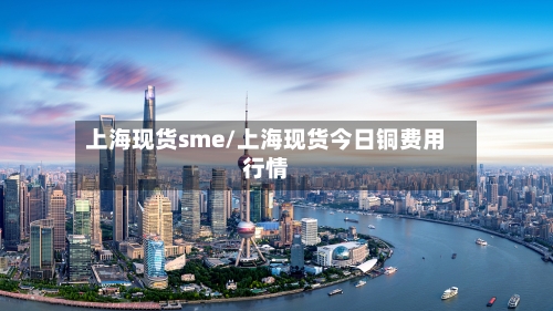 上海现货sme/上海现货今日铜费用行情