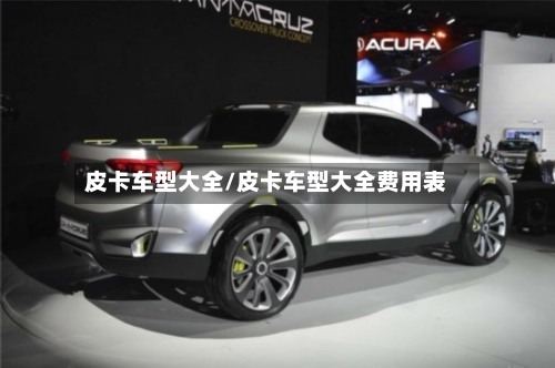 皮卡车型大全/皮卡车型大全费用表