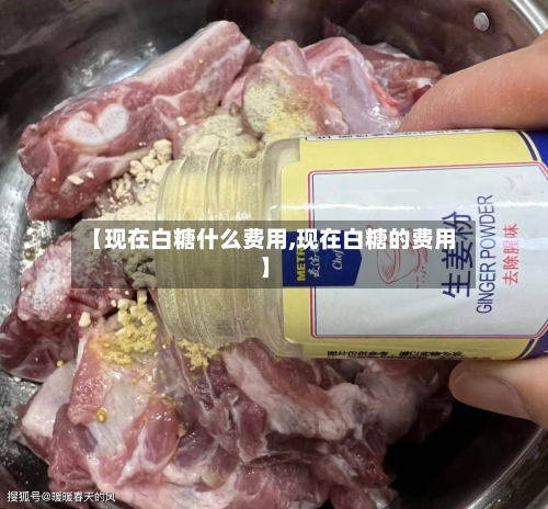 【现在白糖什么费用,现在白糖的费用】
