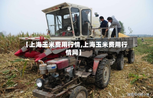 【上海玉米费用行情,上海玉米费用行情网】