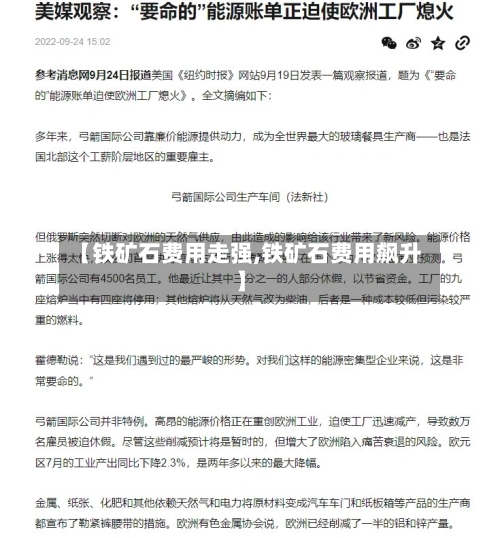 【铁矿石费用走强,铁矿石费用飙升】