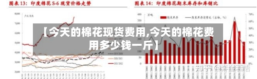 【今天的棉花现货费用,今天的棉花费用多少钱一斤】