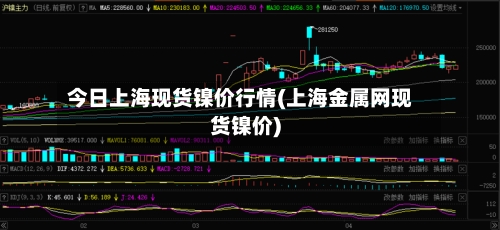 今日上海现货镍价行情(上海金属网现货镍价)-第2张图片