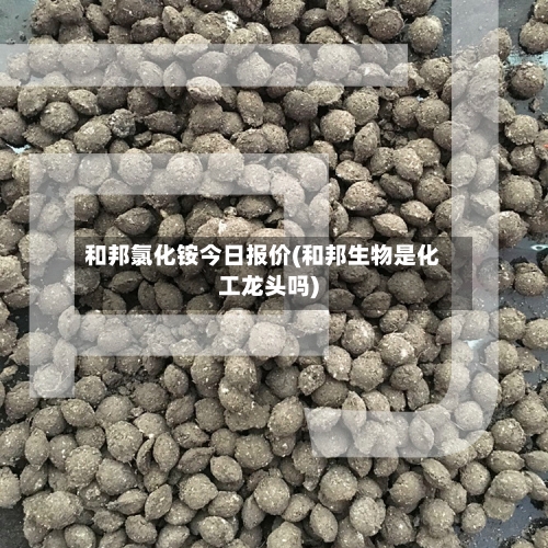 和邦氯化铵今日报价(和邦生物是化工龙头吗)