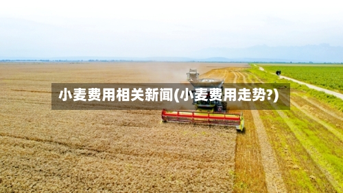 小麦费用相关新闻(小麦费用走势?)
