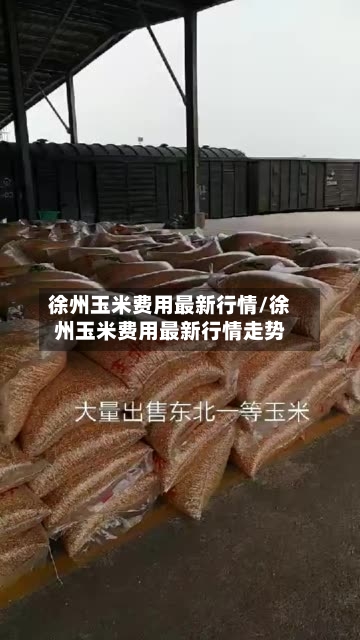 徐州玉米费用最新行情/徐州玉米费用最新行情走势-第2张图片