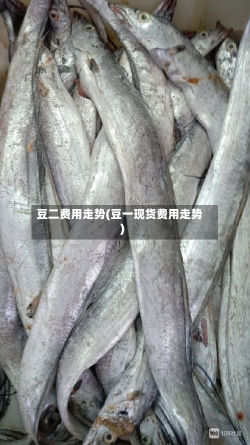 豆二费用走势(豆一现货费用走势)-第3张图片
