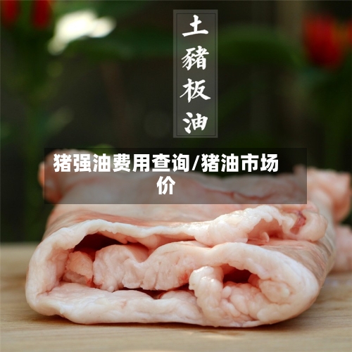 猪强油费用查询/猪油市场价-第2张图片