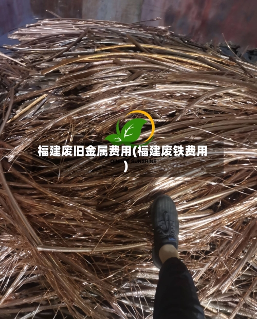 福建废旧金属费用(福建废铁费用)-第3张图片