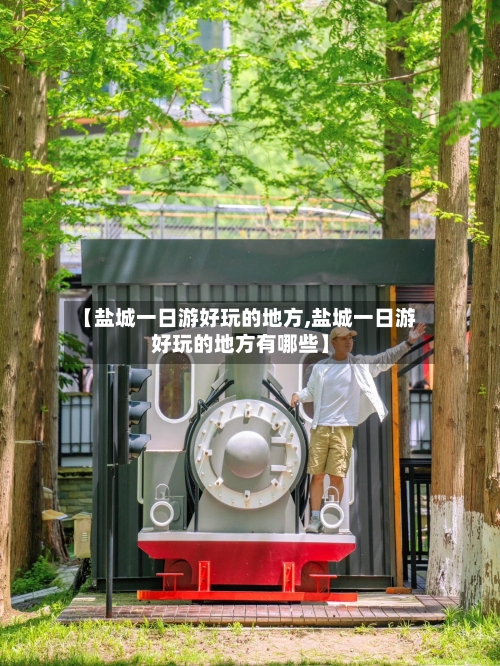 【盐城一日游好玩的地方,盐城一日游好玩的地方有哪些】