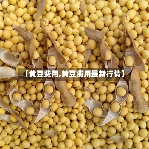 【黄豆费用,黄豆费用最新行情】