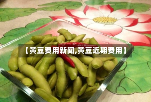 【黄豆费用新闻,黄豆近期费用】-第2张图片