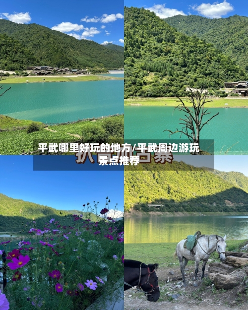 平武哪里好玩的地方/平武周边游玩景点推荐
