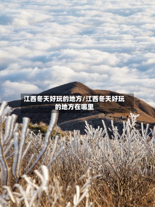 江西冬天好玩的地方/江西冬天好玩的地方在哪里-第3张图片