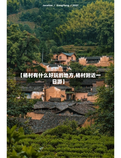 【杨村有什么好玩的地方,杨村附近一日游】