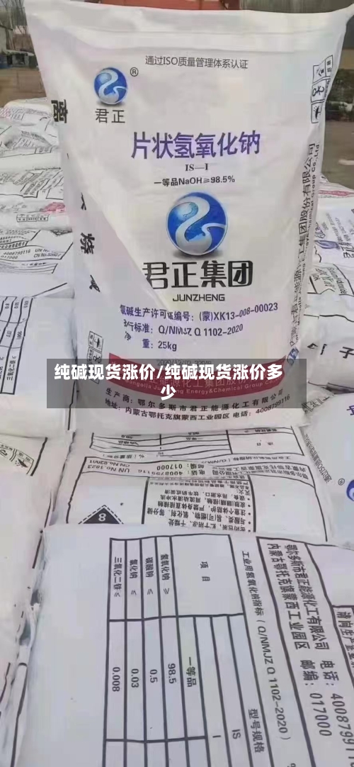纯碱现货涨价/纯碱现货涨价多少