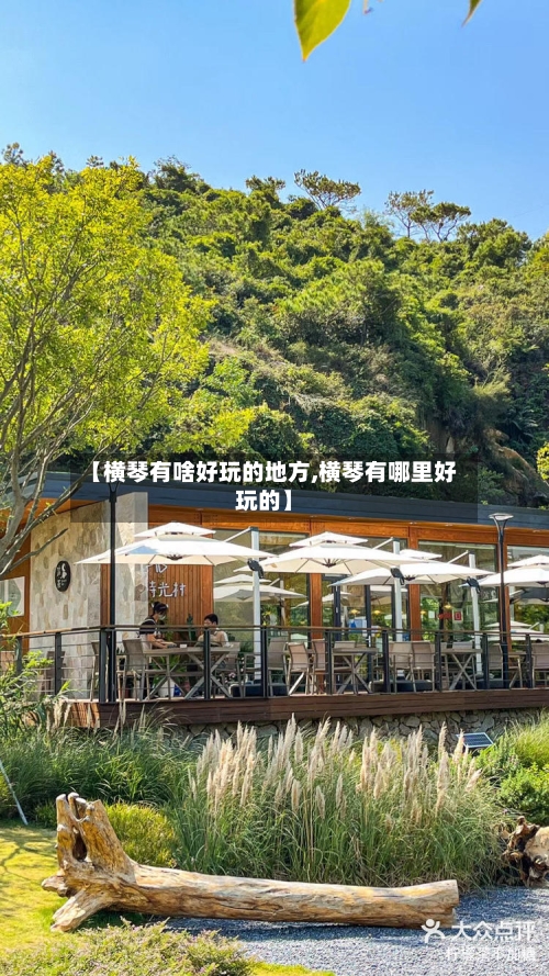 【横琴有啥好玩的地方,横琴有哪里好玩的】-第2张图片