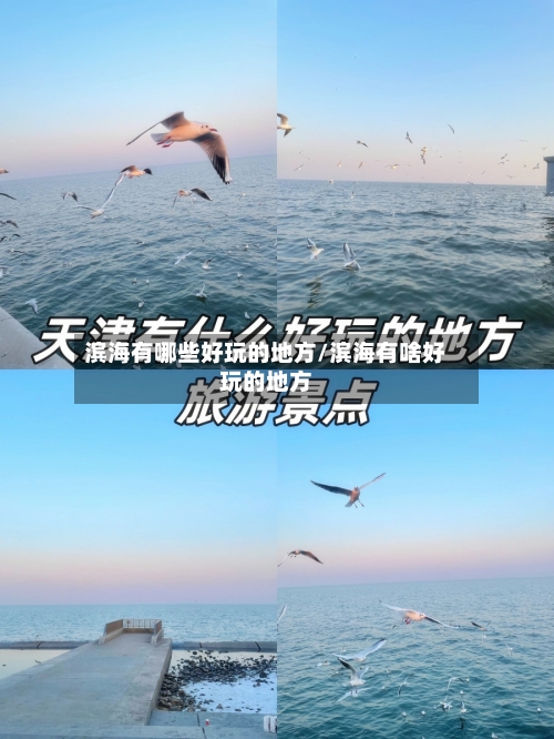 滨海有哪些好玩的地方/滨海有啥好玩的地方