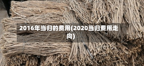 2016年当归的费用(2020当归费用走向)
