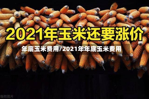 年底玉米费用/2021年年底玉米费用
