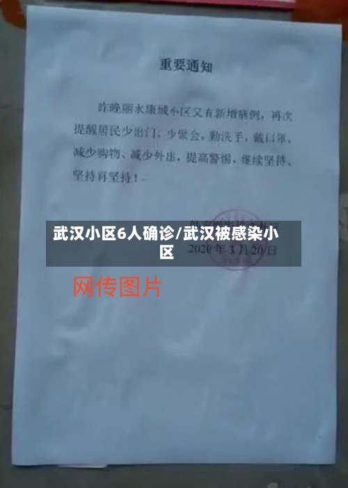 武汉小区6人确诊/武汉被感染小区