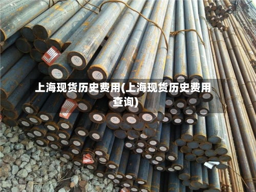 上海现货历史费用(上海现货历史费用查询)