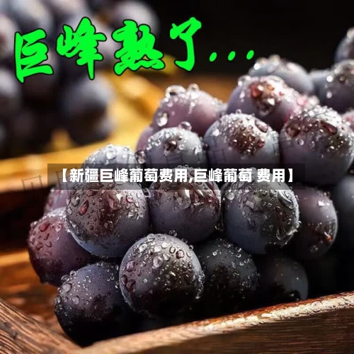 【新疆巨峰葡萄费用,巨峰葡萄 费用】