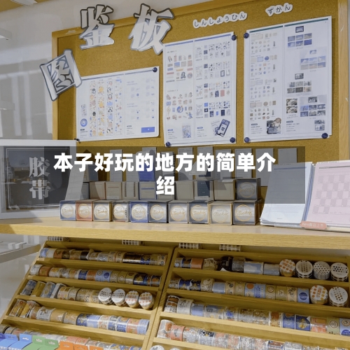 本子好玩的地方的简单介绍-第3张图片